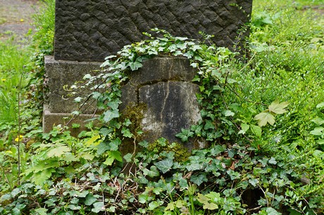 Bad Godesberg
